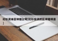 红杉资本区块链公司[红杉投资的区块链项目]